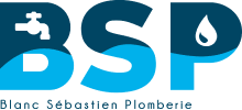 BSP